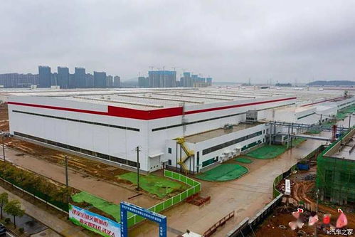 东风日产生产 岚图知音将在今年推出