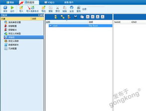 紫金桥跨平台软件远程采集realinfo6.5