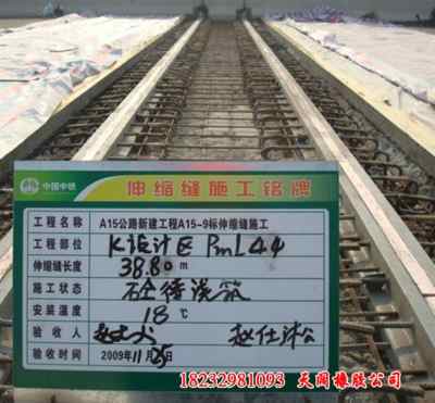 莱芜 桥梁异型钢伸缩缝 致敬 集团公司