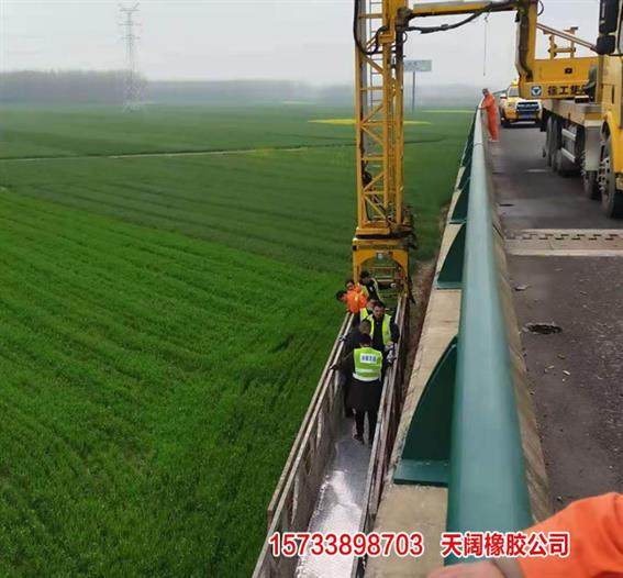 专业黑河桥梁支座垫石维修服务 高效可靠，软件辅助精准施工